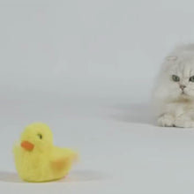 Cargar y reproducir el video en el visor de la galería, Juguete interactivo pato Donald para gatos

