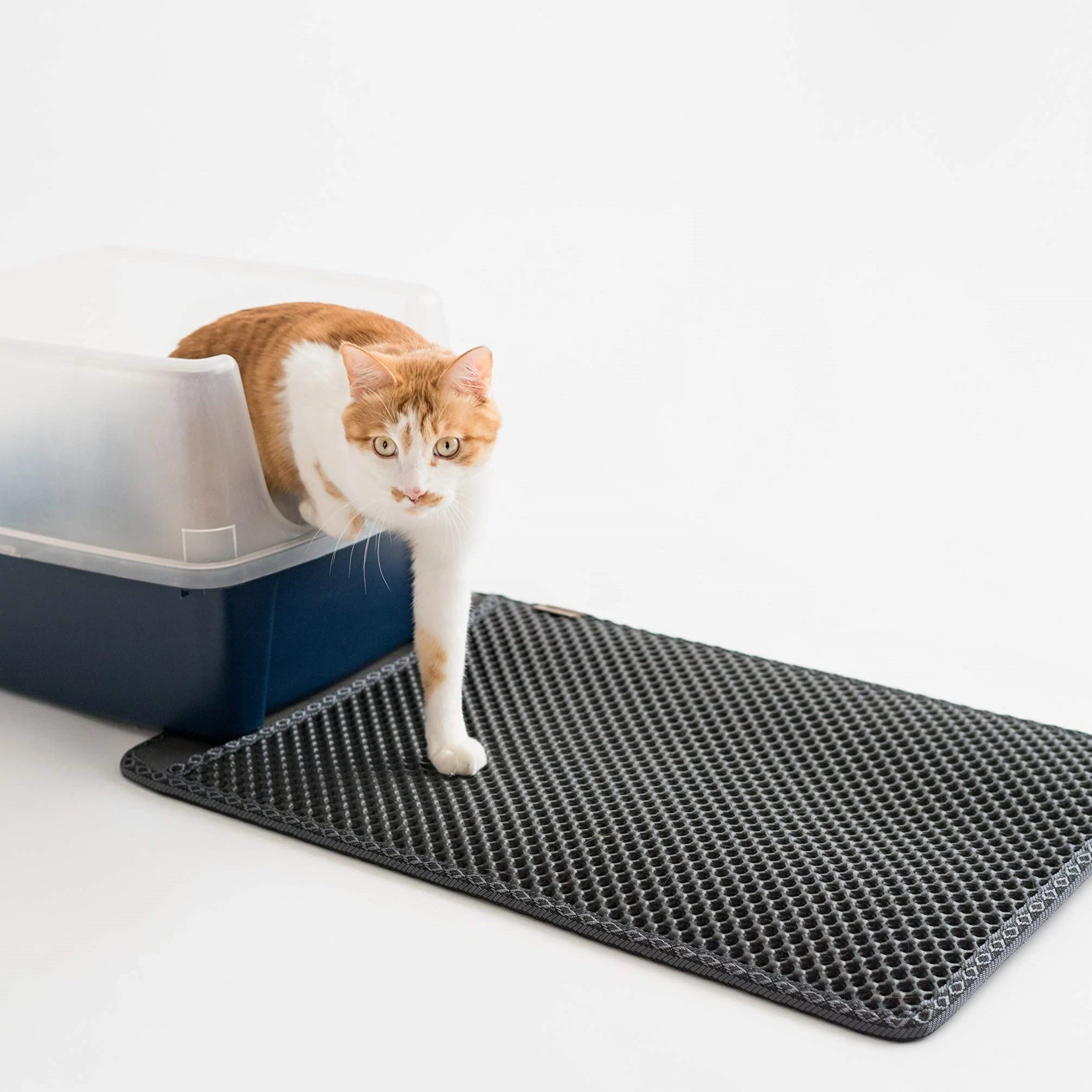Guía para comprar las mejores alfombras para gatos con arenero -  Casacochecurro