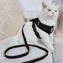 Cargar imagen en el visor de la galería, Arnés Catwalk para gatos - Gatufy
