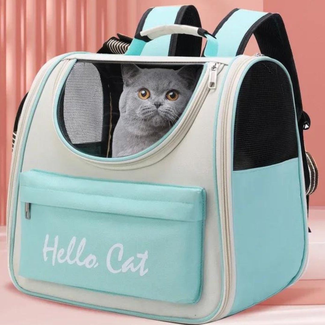 MOCHILAS para GATOS Bolsos de transporte para tu minino Gatufy